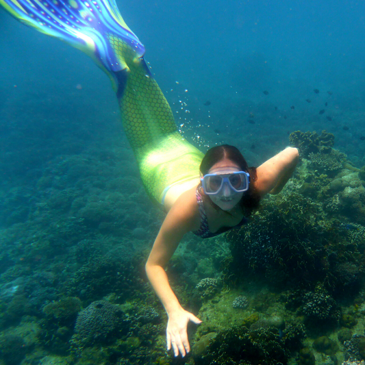 What is freediving - My PADI Course